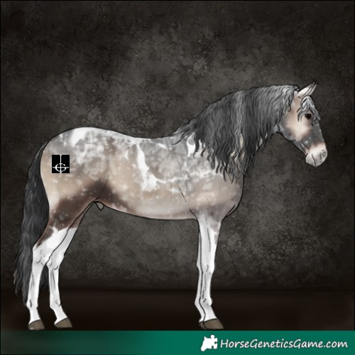 Horse Color:Blue Onyx Ice Tobiano 