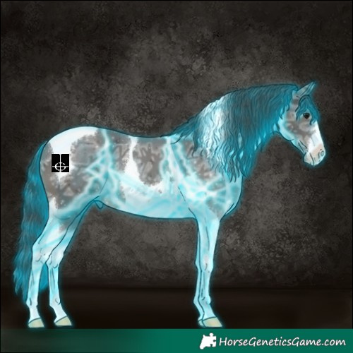 Horse Color:Thunderstruck Black Ice Tobiano 