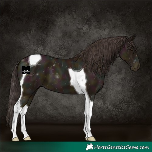 Horse Color:Midnight Classic Champagne Tobiano 