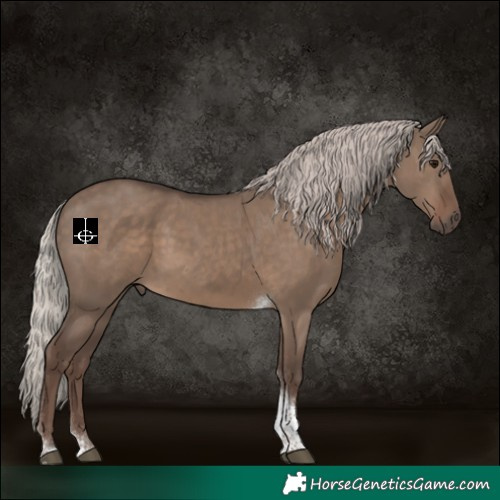 Horse Color:Silver Grullo Tobiano 