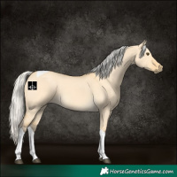 Horse Color:Silver Buckskin Dun Tobiano 
