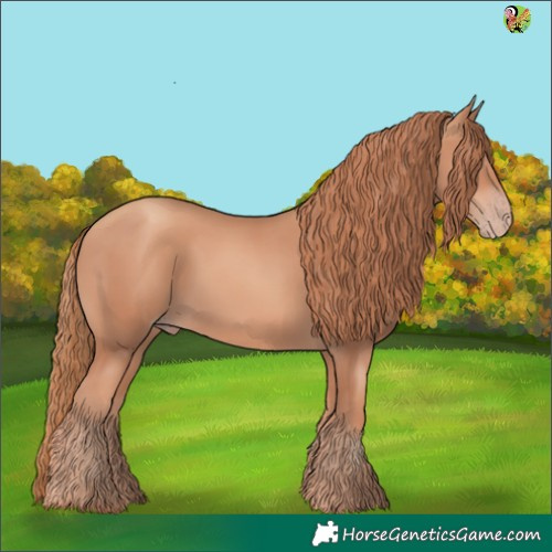 Horse Color:Gold Champagne 