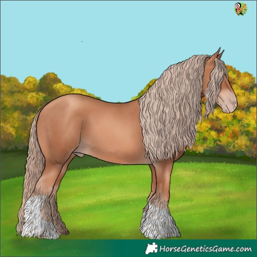 Horse Color:Gold Champagne Tobiano 