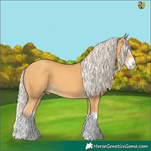 Horse Color:Gold Cream Champagne Splash 