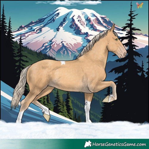 Horse Color:Gold Cream Champagne Tobiano 