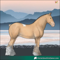 Horse Color:Gold Cream Champagne Tobiano 