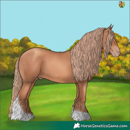 Horse Color:Gold Champagne Tobiano 