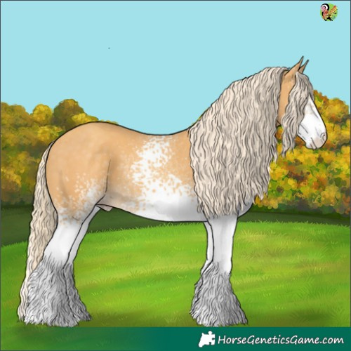 Horse Color:White Spotted Gold Cream Champagne Tobiano 
