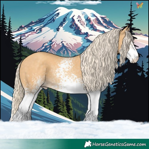 Horse Color:White Spotted Gold Cream Champagne Tobiano 