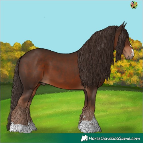 Horse Color:Liver Chestnut 