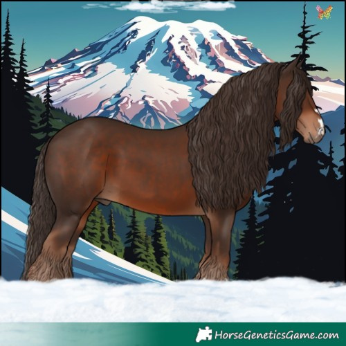 Horse Color:Liver Chestnut 