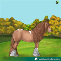 Horse Color:Gold Champagne Tobiano 