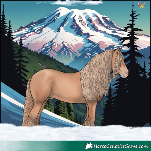 Horse Color:Gold Champagne 