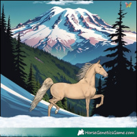 Horse Color:Gold Champagne 