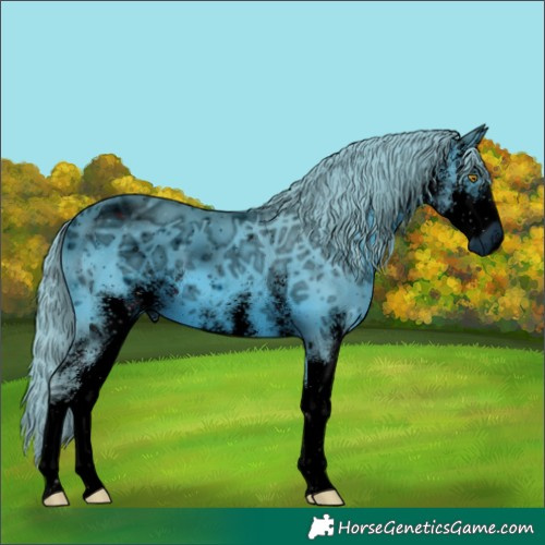 Horse Color:ERROR: UNKNOWN ANOMALY