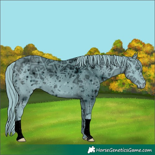 Horse Color:ERROR: UNKNOWN ANOMALY