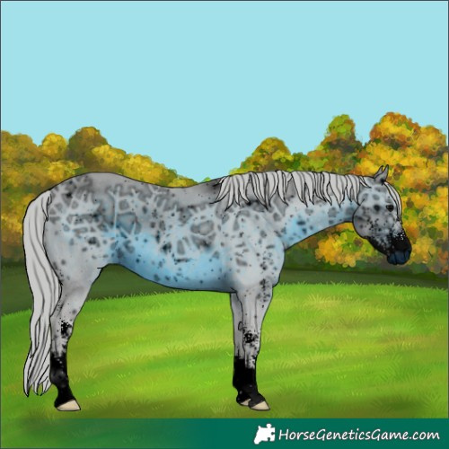 Horse Color:ERROR: UNKNOWN ANOMALY