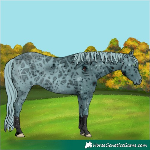 Horse Color:ERROR: UNKNOWN ANOMALY