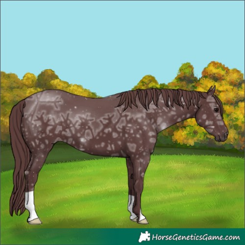 Horse Color:Chocolate Black Ice 