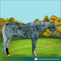 Horse Color:ERROR: UNKNOWN ANOMALY