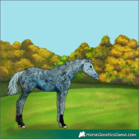 Horse Color:ERROR: UNKNOWN ANOMALY