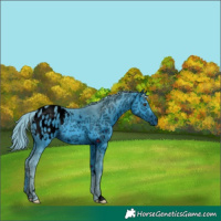 Horse Color:ERROR: UNKNOWN ANOMALY