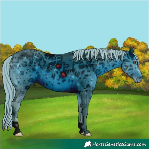 Horse Color:ERROR: UNKNOWN ANOMALY