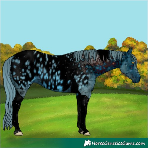 Horse Color:ERROR: UNKNOWN ANOMALY