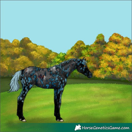 Horse Color:ERROR: UNKNOWN ANOMALY