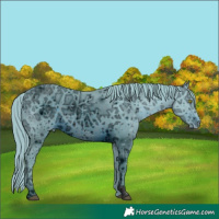 Horse Color:ERROR: UNKNOWN ANOMALY