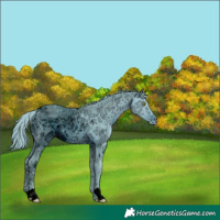 Horse Color:ERROR: UNKNOWN ANOMALY