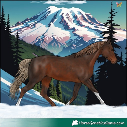 Horse Color:Liver Chestnut Tobiano 