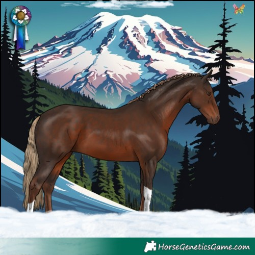 Horse Color:Liver Chestnut Tobiano 