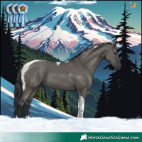 Horse Color:Grullo Tobiano
