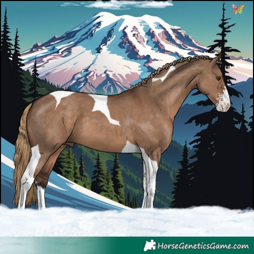 Horse Color:Liver Red Dun Sabino Tobiano 