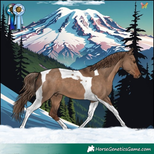 Horse Color:Liver Red Dun Tobiano 
