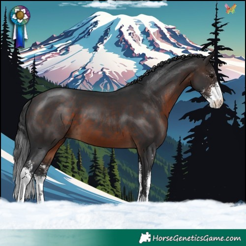 Horse Color:Brown Sabino 