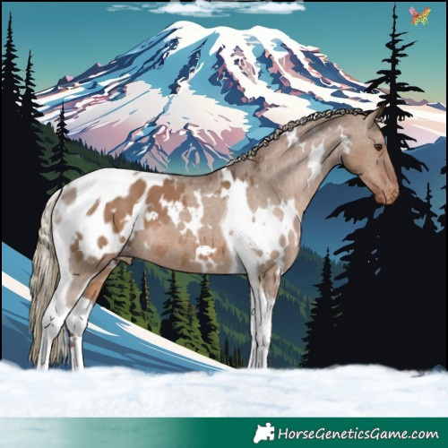 Horse Color:White Spotted Liver Red Dun Tobiano Blanket 