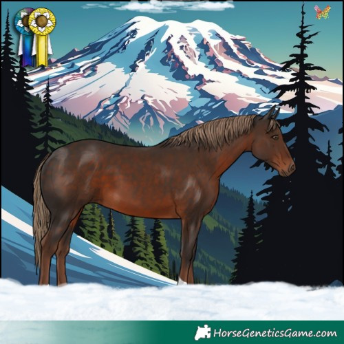 Horse Color:Liver Chestnut Tobiano 