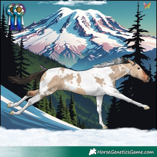 Horse Color:White Spotted Bay Dun Tobiano 