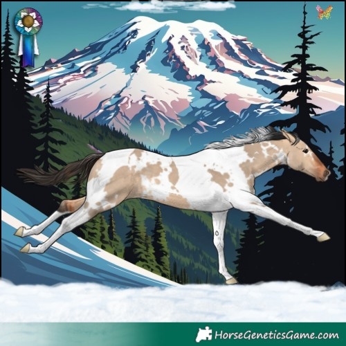 Horse Color:White Spotted Bay Dun Tobiano 