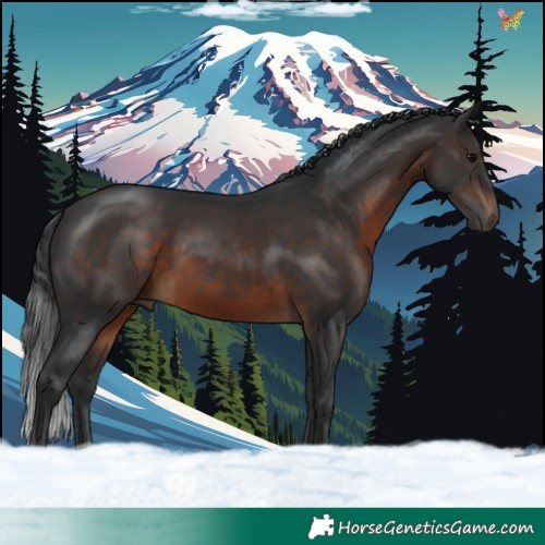 Horse Color:Brown 