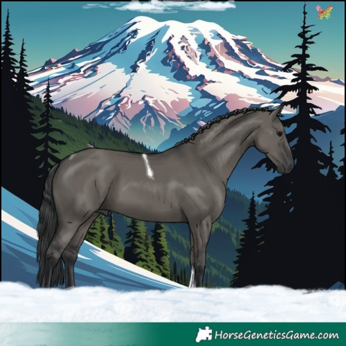 Horse Color:Grullo Tobiano 