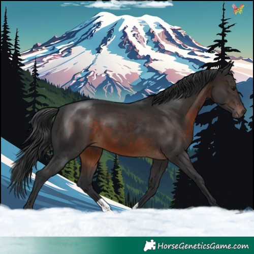Horse Color:Brown 