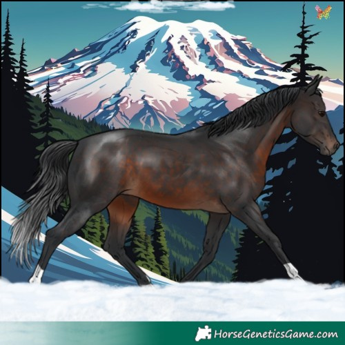 Horse Color:Brown 