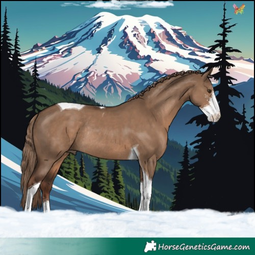 Horse Color:Liver Red Dun Sabino Tobiano Rabicano 