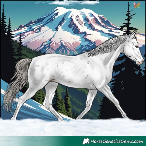Horse Color:Liver Chestnut Sabino 