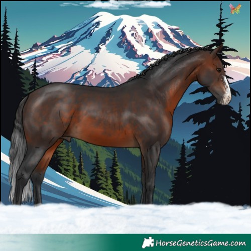 Horse Color:Brown Sabino 