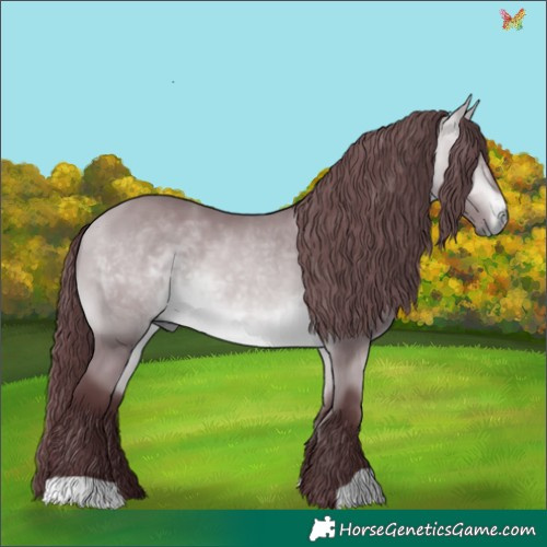 Horse Color:Chocolate Bay Chinchilla 