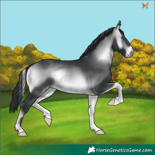 Horse Color:Brown Chinchilla Onyx 